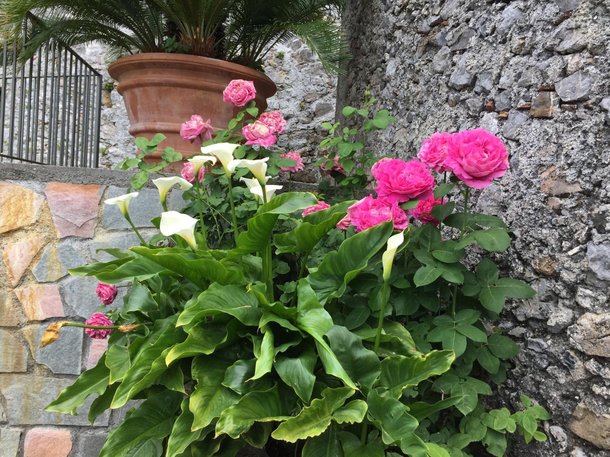 Apartment Un Capriccio-sambuco *